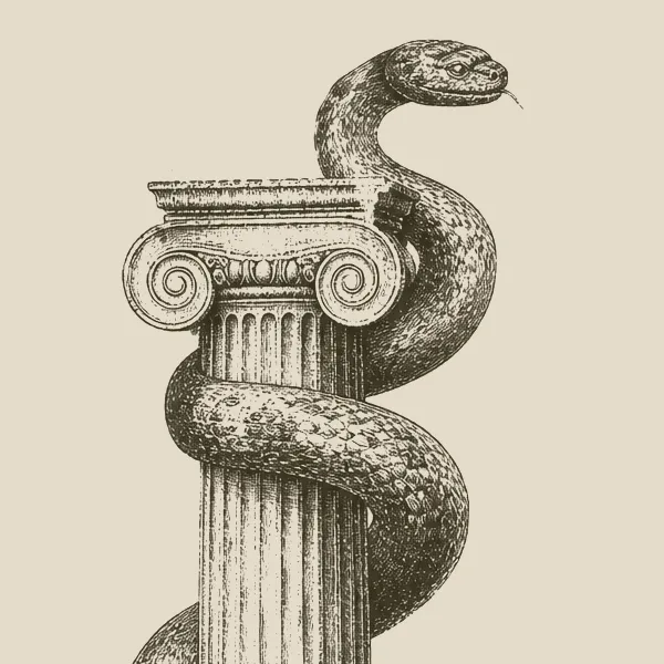 Close-up of an engraved Ionic capital with a serpent coiled around it.